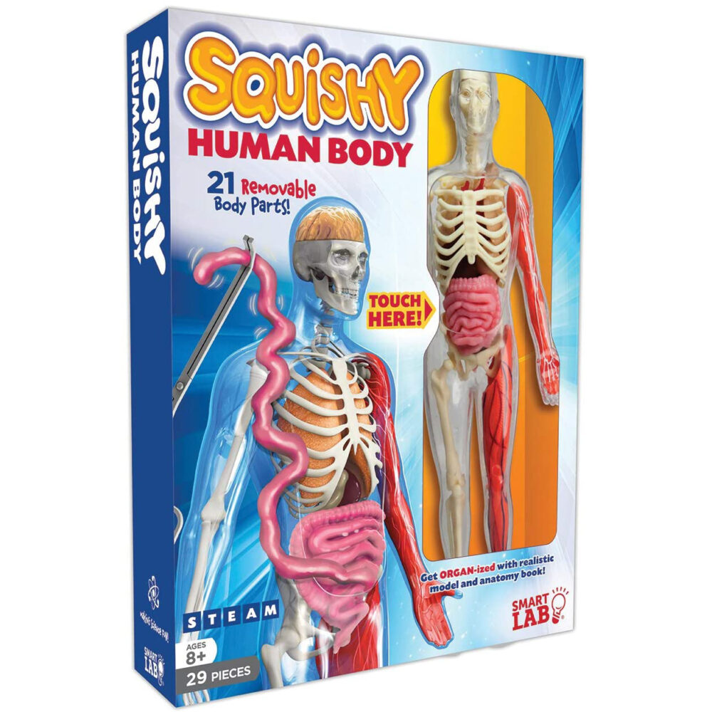 anatomy science organs skeleton