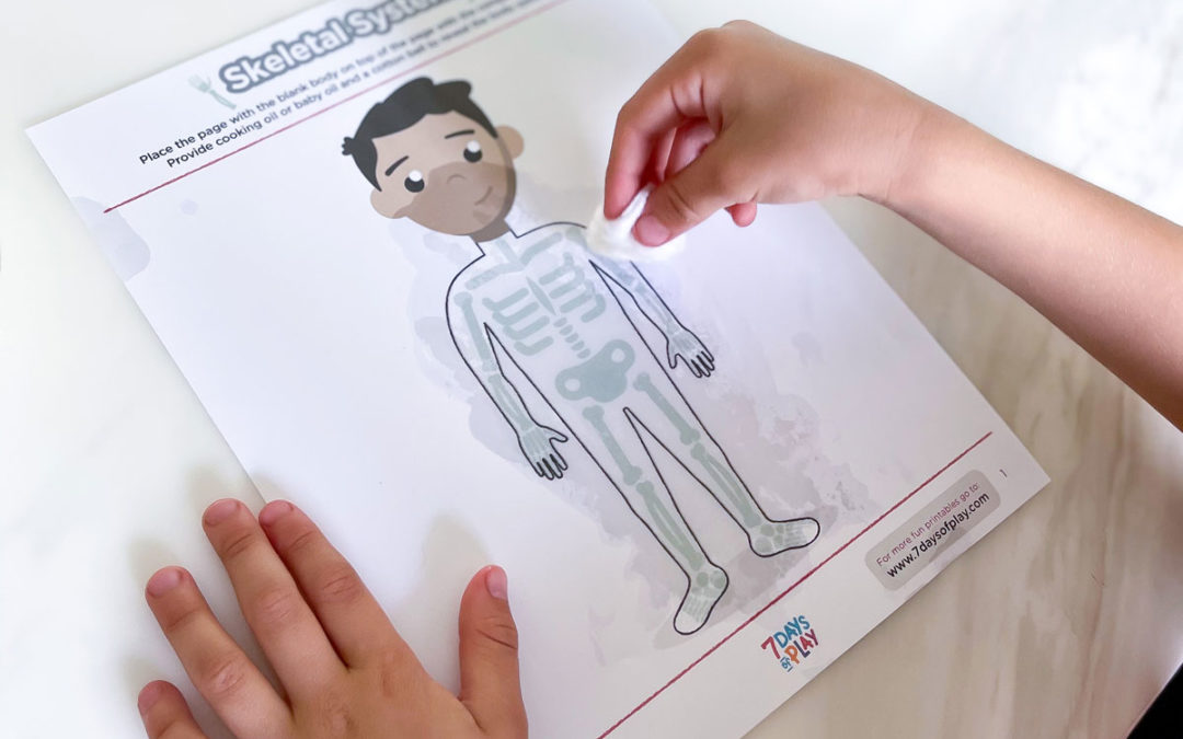 Systems of the Body for Kids – Try This Amazing Printable!