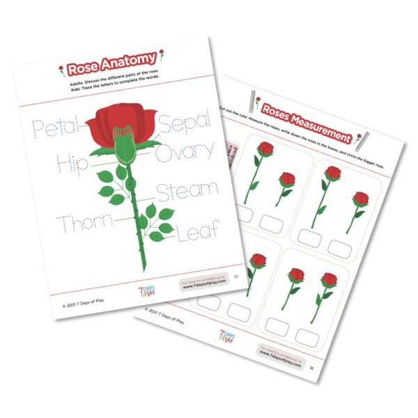15+ Valentine's Day Activities - Printable.