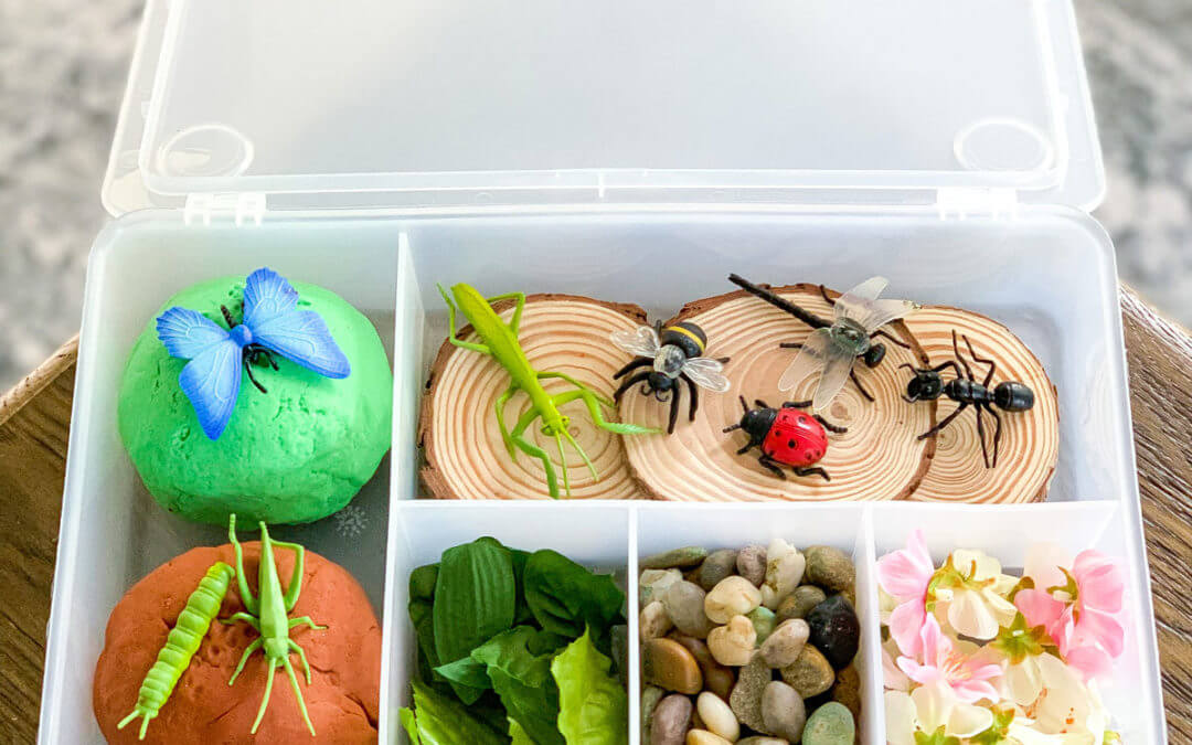 Preschool Insect Activity – Fun Sensory Kit They’ll Love