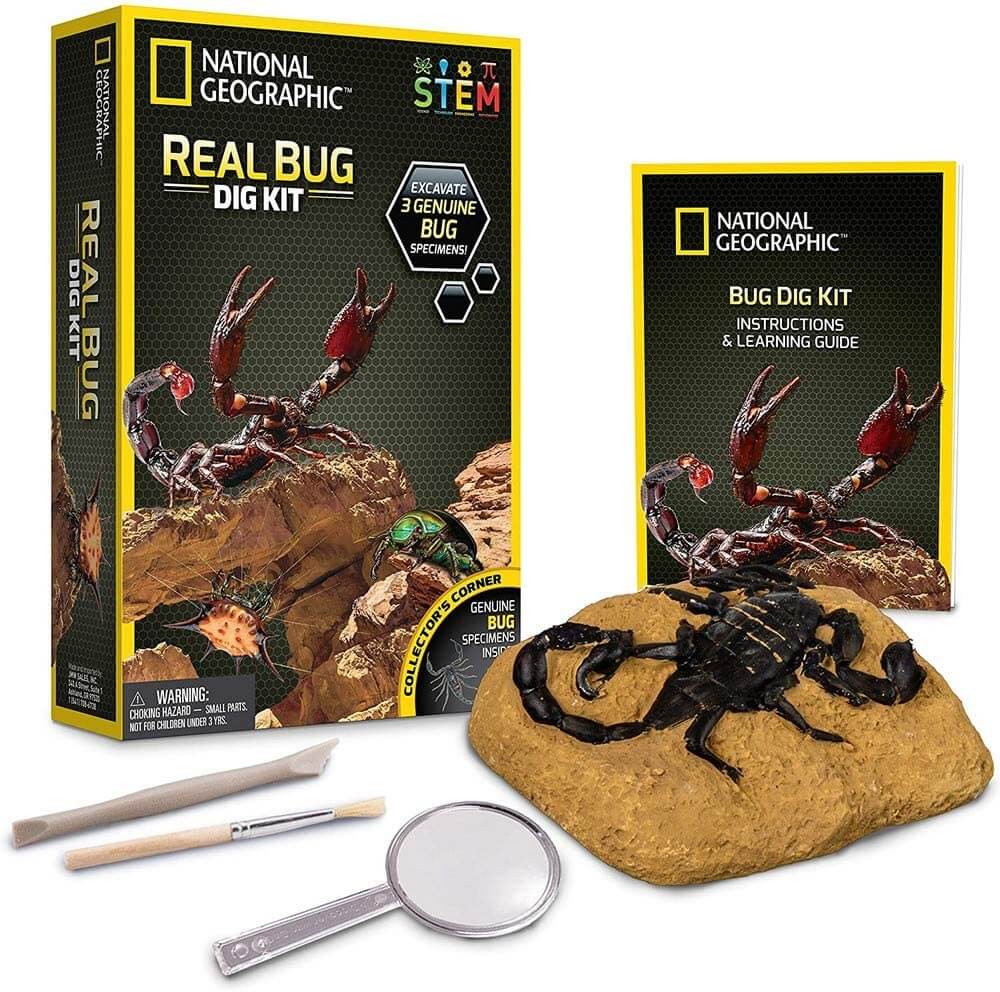 Bug dig kit insects nature explore
