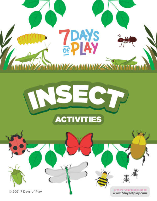 bug insect printable worksheets preschool