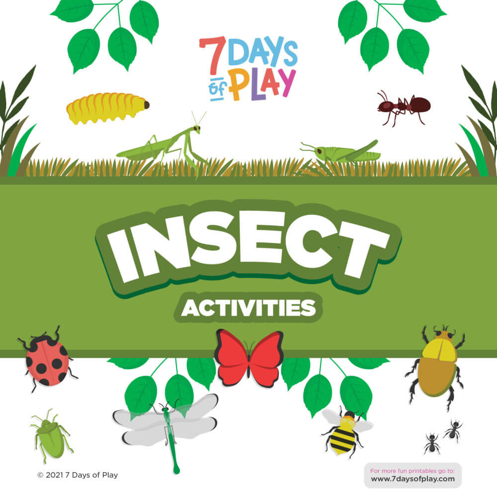 bug insect printable worksheets preschool
