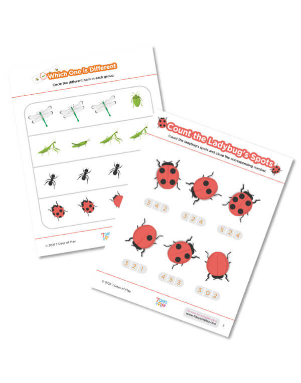 bug insect printable worksheets preschool