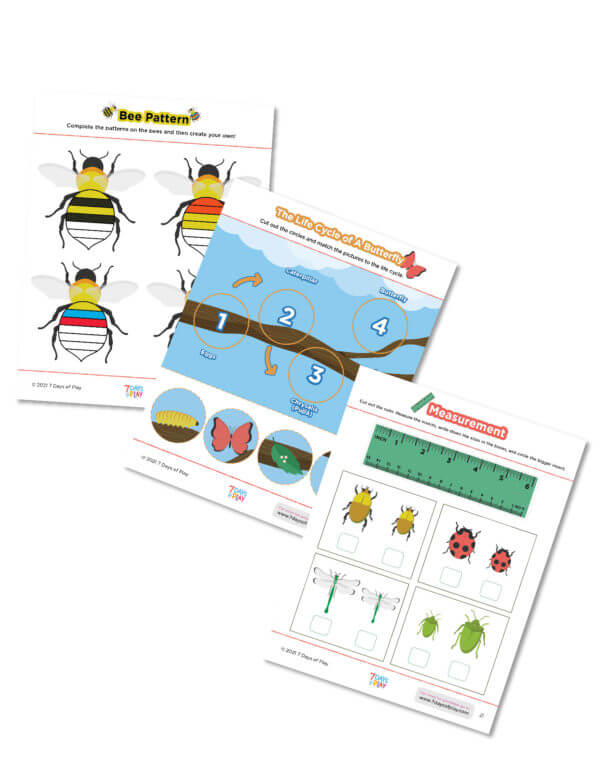bug insect printable worksheets preschool