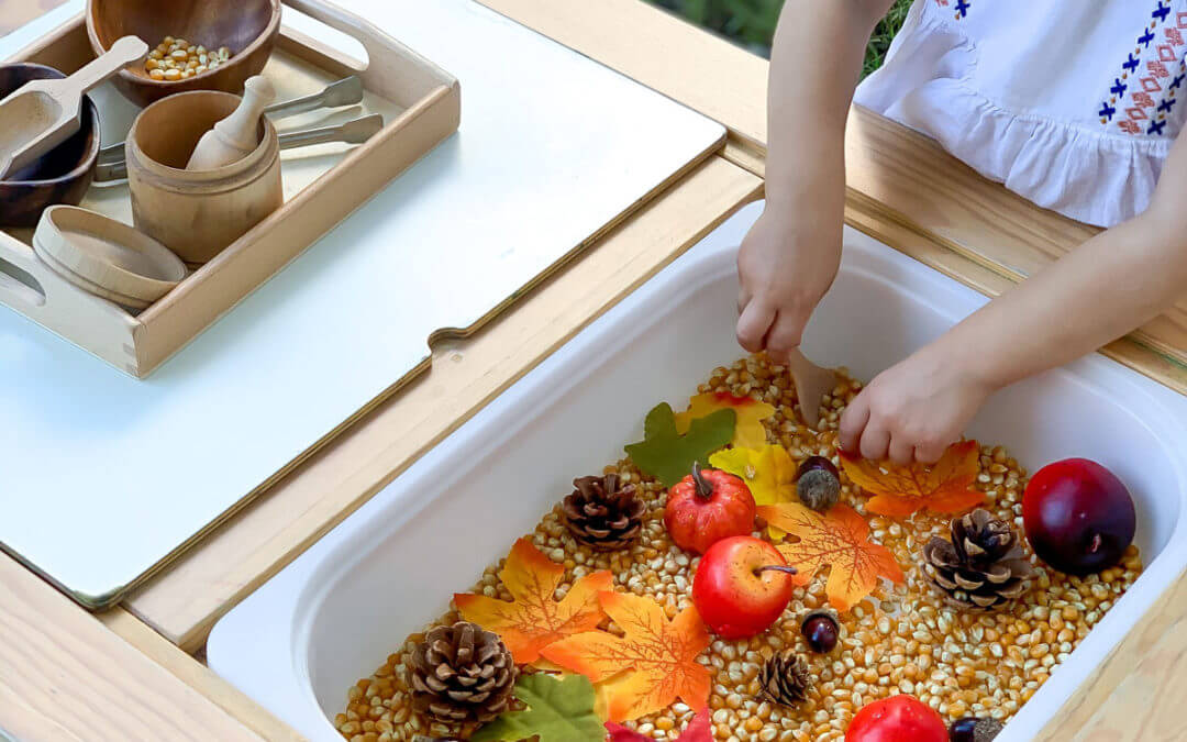 Fall Activity for Toddlers – Easy Autumn Sensory Bin