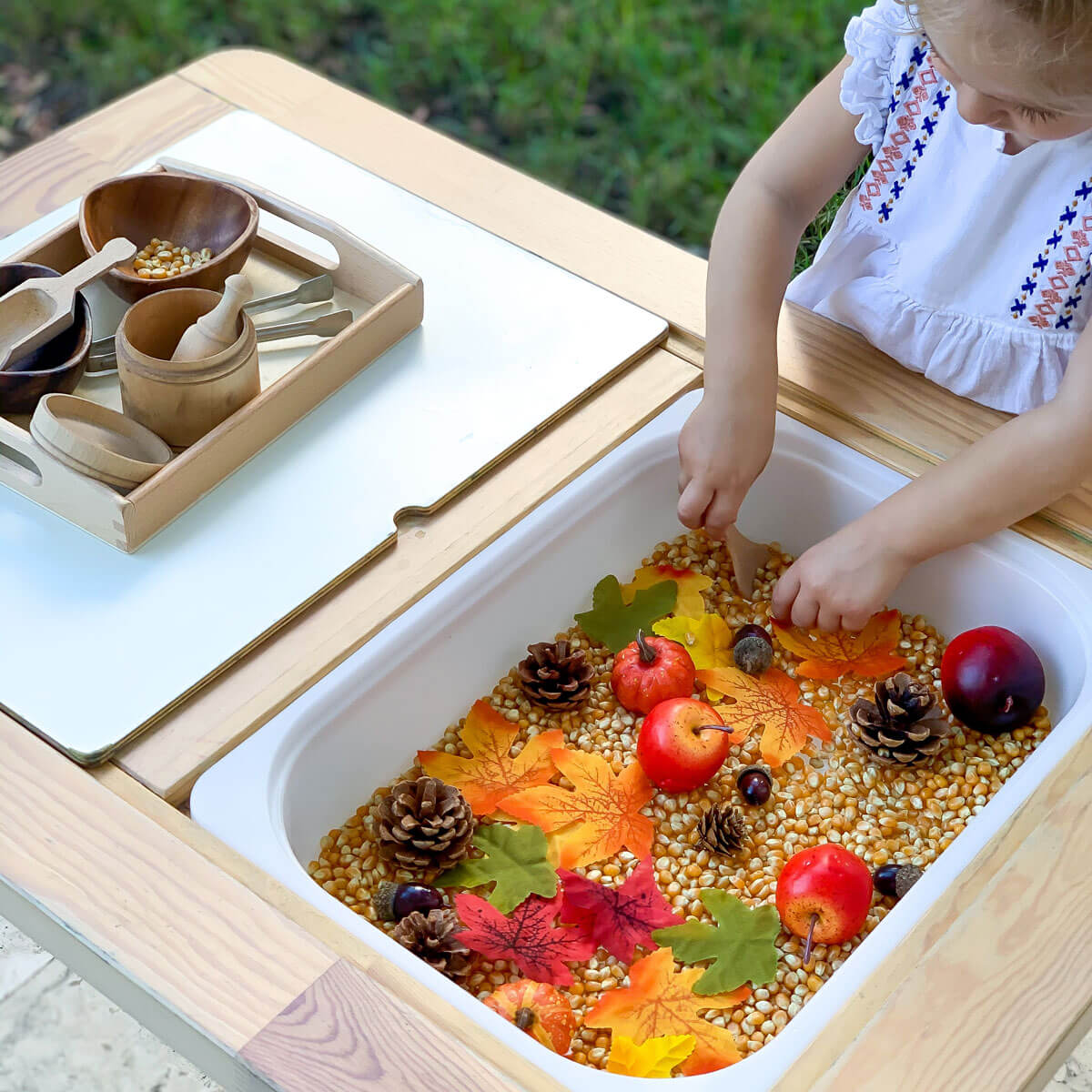 Fall Activity for Toddlers - Easy Autumn Sensory Bin for 3 Year Olds -