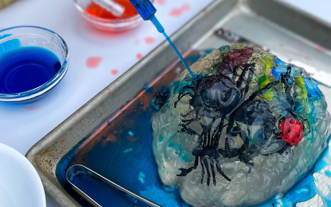 Jelly Sensory Play – Make a Zombie Brain with Bugs
