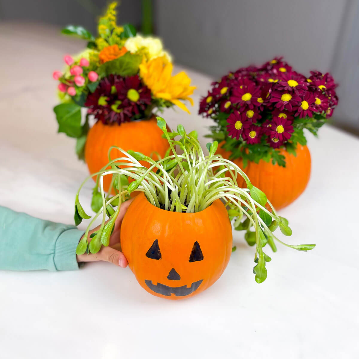 pumpkin activities growing pumpkin seeds in a pumpkin making a pumpkin flower pot growing plants in a pumpkin