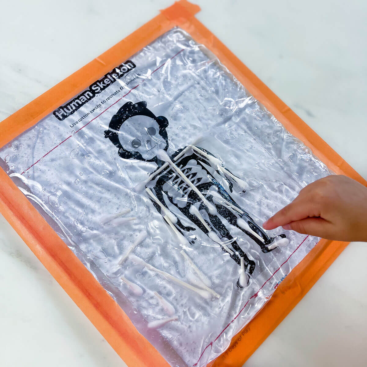 skeleton printable puzzle using cotton swabs sensory bag