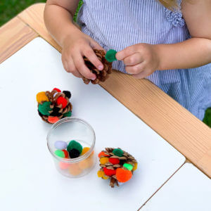 Autumn Activity for Preschool – Easy Pine Cone Pom Pom
