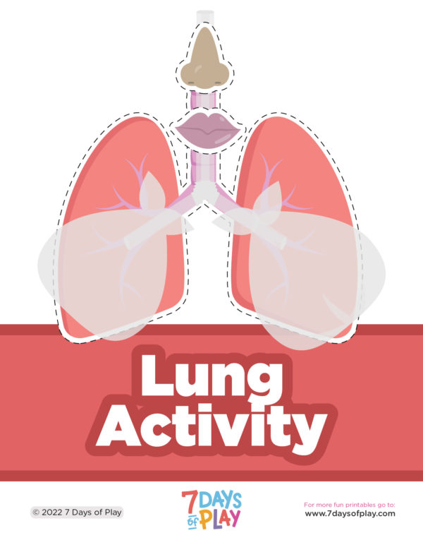 This free printable activity is a fun way to learn all about how the lungs work!
