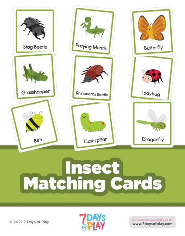 These Montessori-inspired matching cards include 16 insect pictures. Cut them out and use your own figurines to match and name! It's a great way to develop speech and vocabulary.
