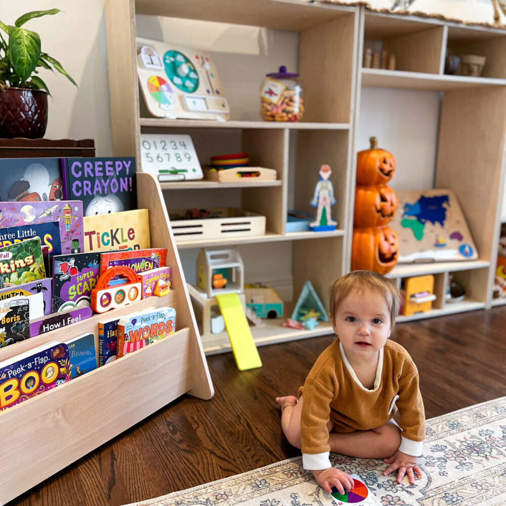 Here is what rotating toys in our playroom looked like during this October!