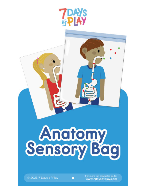 Anatomy Sensory Bag - Printable for Kids