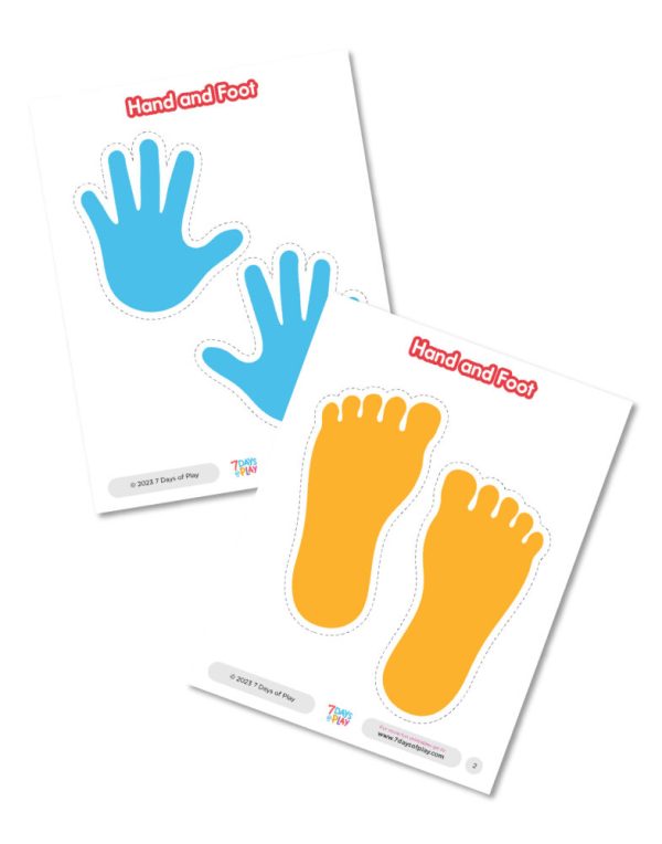 Hand and Foot - Activity for Kids