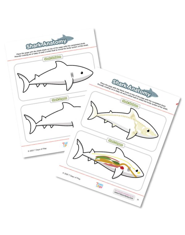 Ocean Animal Activities - Printable for Kids