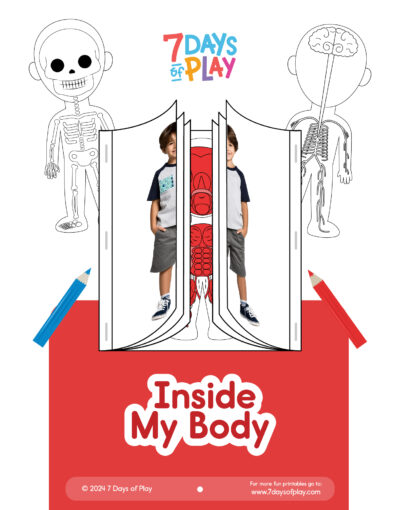Inside My Body - Printable for kids