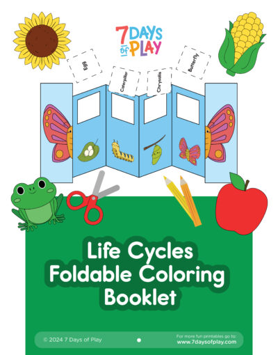 Life Cycles Foldable Coloring Booklet - Printable