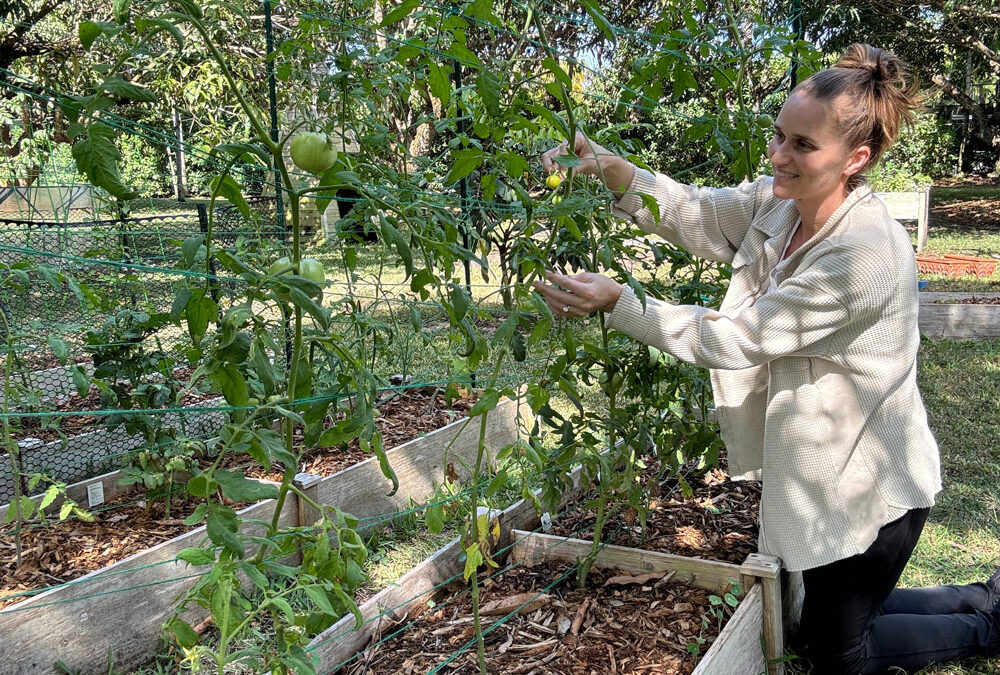 How to Layer a Raised Garden Bed and Make a Trellis