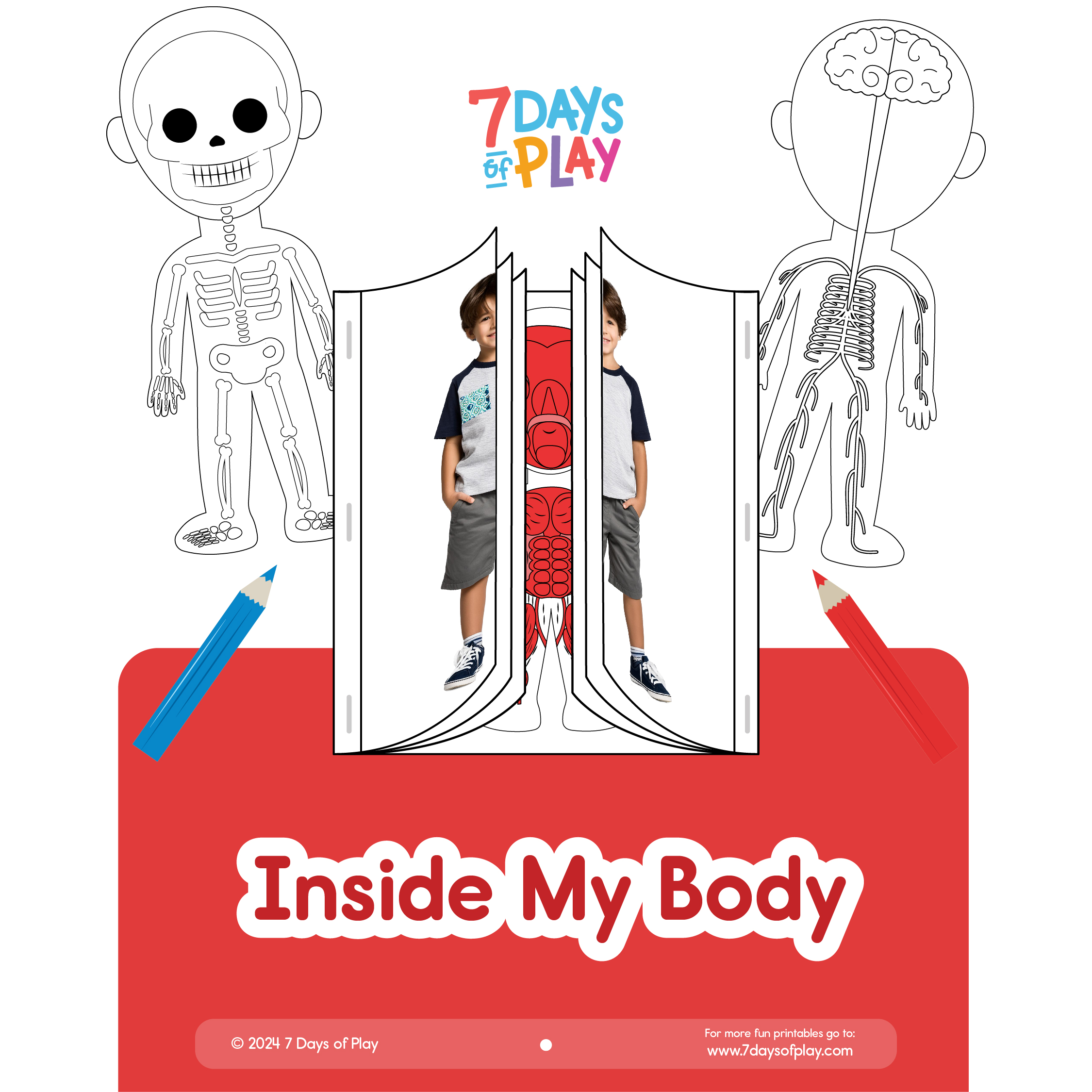 anatomy printable for kids learn the human body