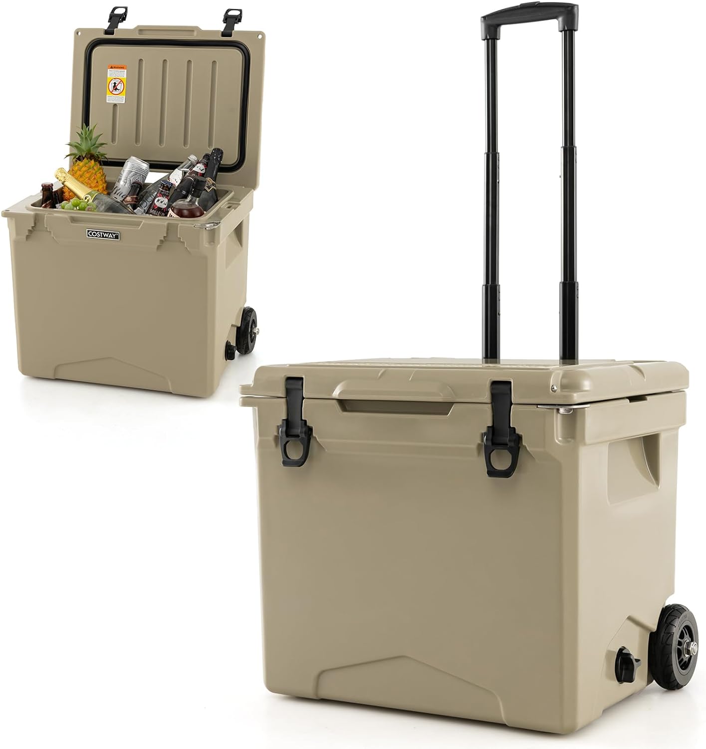 beach picnic cooler