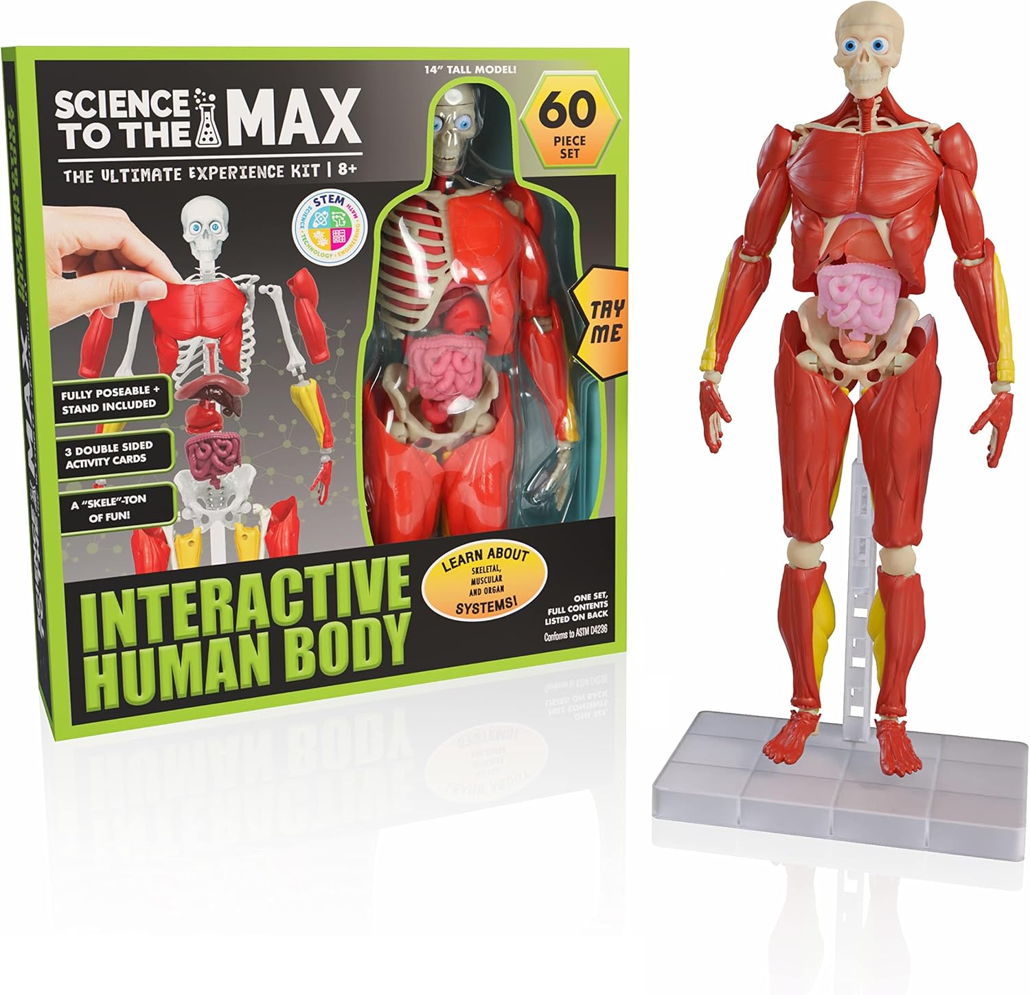 science experiment kit