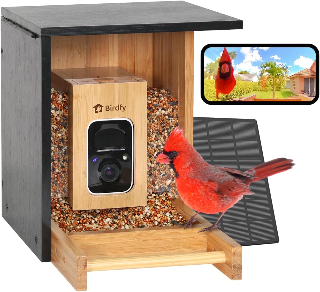 dad gift bird watcher